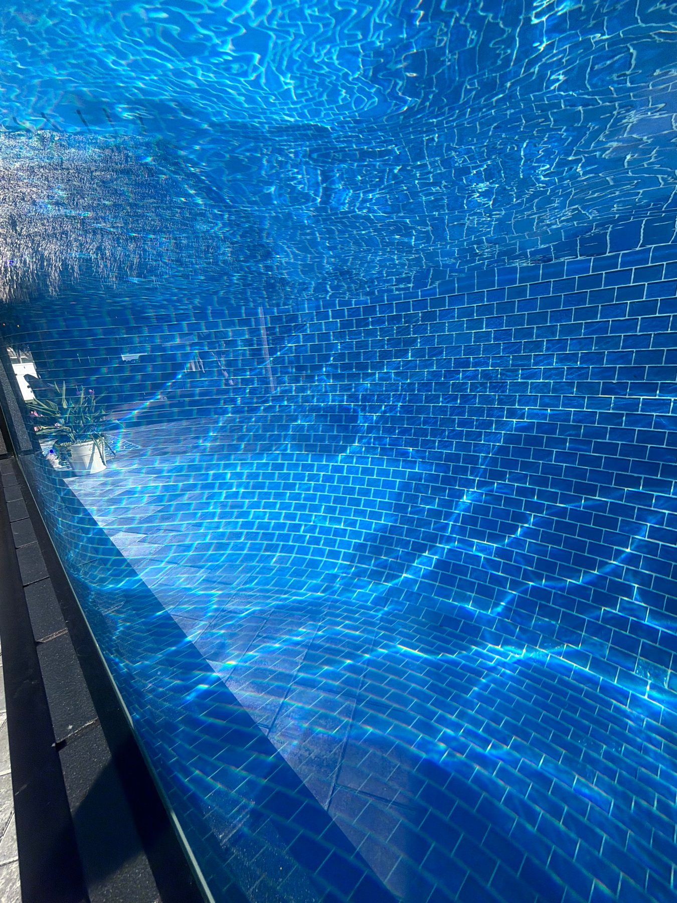 Looking through the water at blue mosaic tile on the wall and floor.